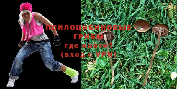 герыч Медвежьегорск